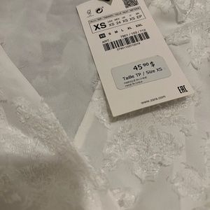 Zara organza ruffled top
